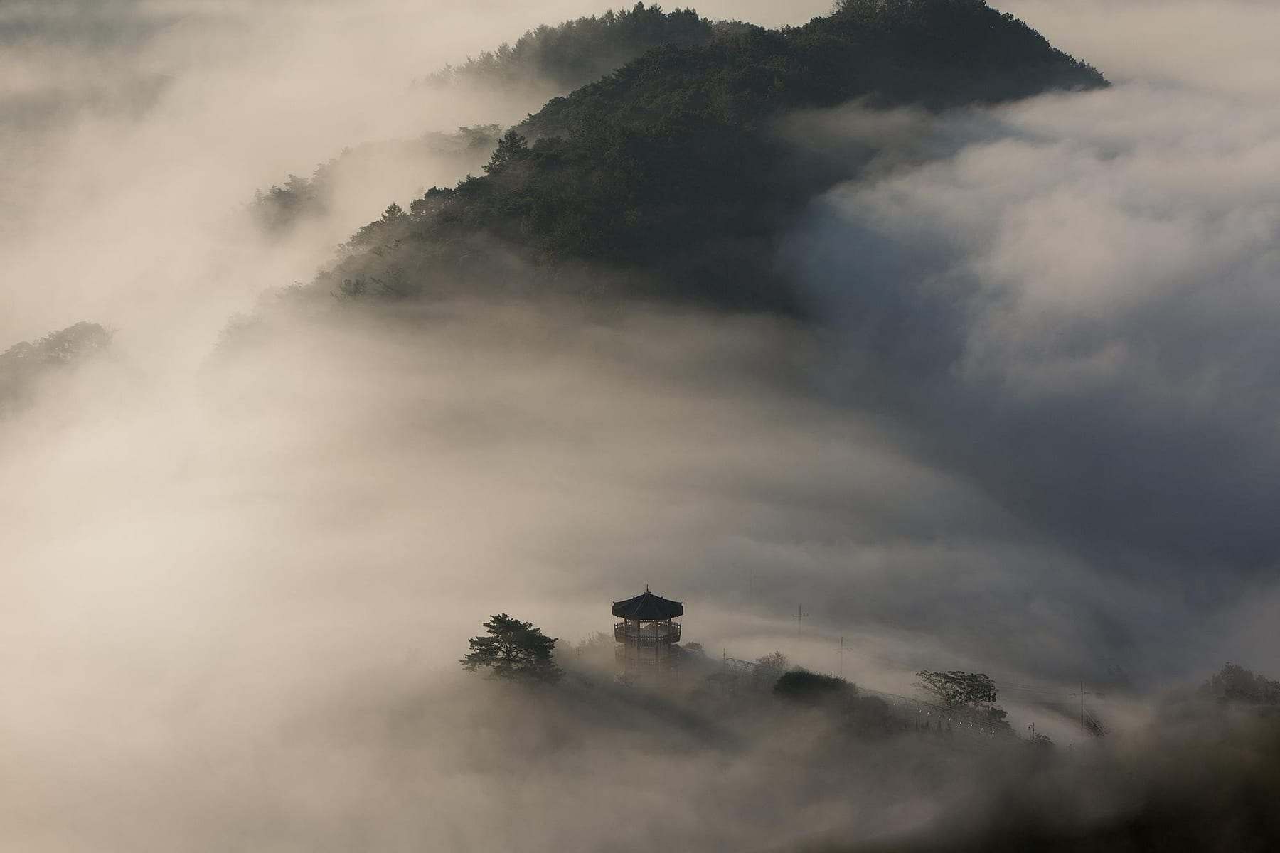 韓国